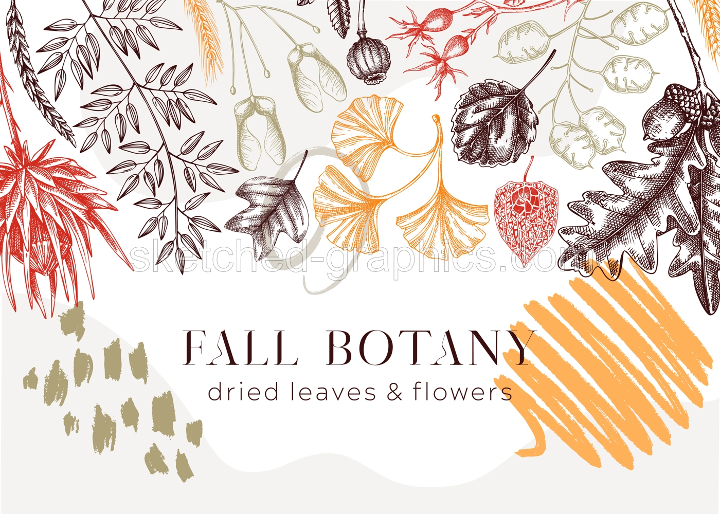 Autumn background in collage style. Fallen leaves and dried flowers banner. Floral border template. Hand-drawn dried plants, fall leaves, mushrooms, and fruit illustration. Thanksgiving background. Illustration